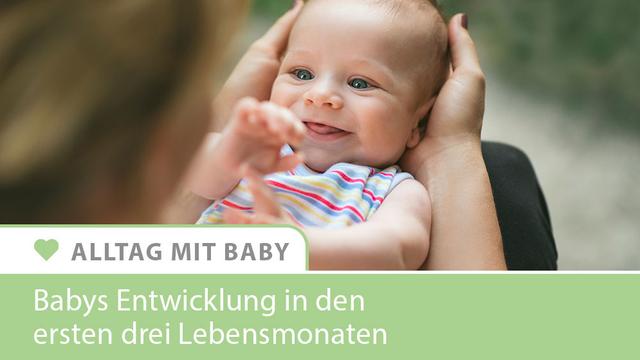 Infografik - Baby 1-3 Monate