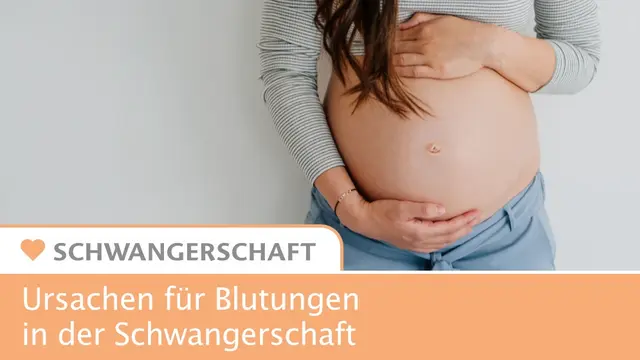 Infografik - Blutungen in der Schwangerschaft