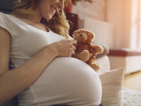 Schwangere Frau mit Teddy auf dem Bauch