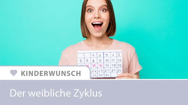 Weiblicher Zyklus - Infografik