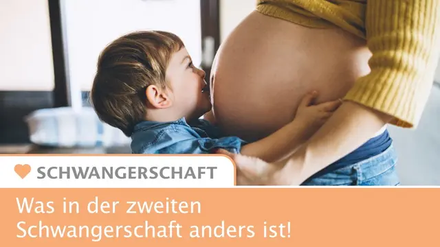 Zweite Schwangerschaft - Infografik