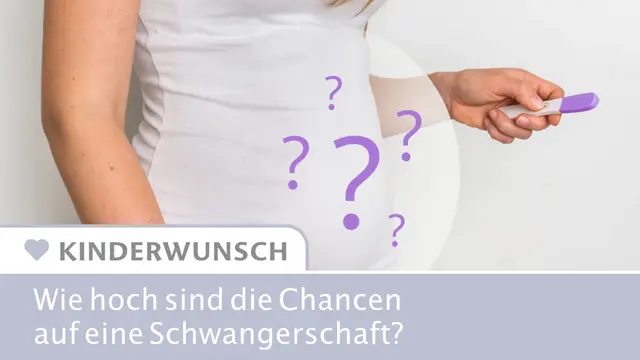 Schwangerschaftswahrscheinlichkeit - Infografik