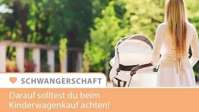 Kinderwagen kaufen - Infografik