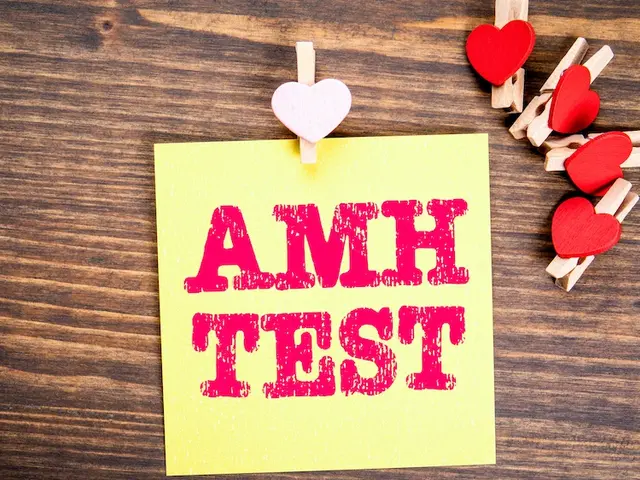 AMH Test - Infografik