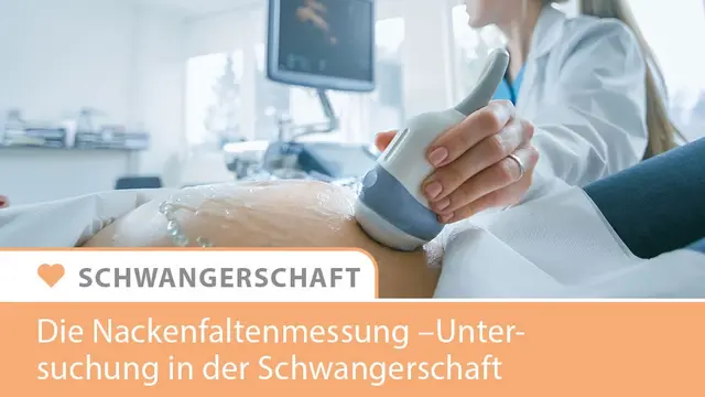 Vorsorgeuntersuchung - Infografik