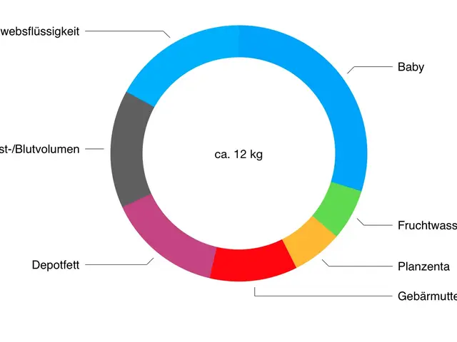 gewichtskurve schwangerschaft