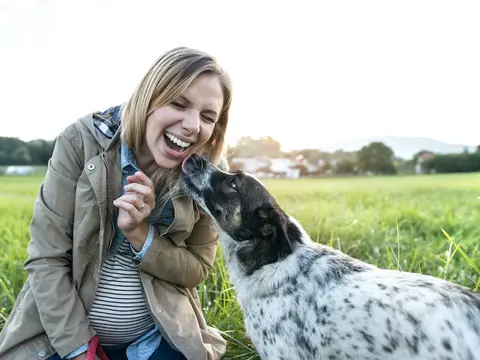 Schwangerschaft & Haustiere: Schwanger unterwegs mit Wellensittich, Hund & Co.