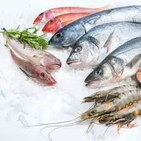 Folio Folsäure Ernährung Fisch