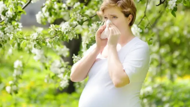 Allergie während der Schwangerschaft - Infografik