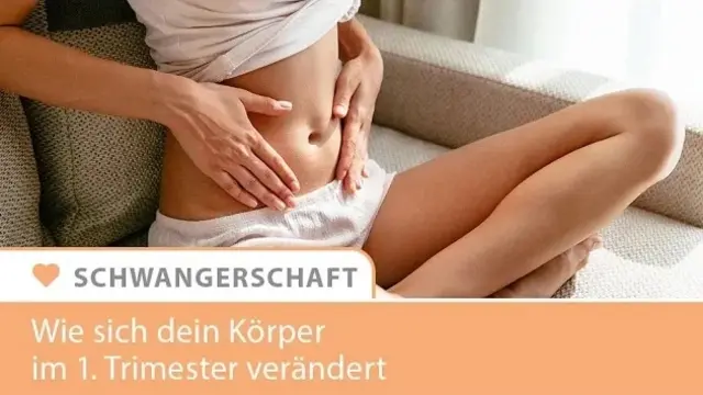 Erster Trimester - Infografik