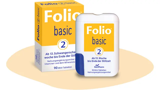 Teaser Folio 2 basic